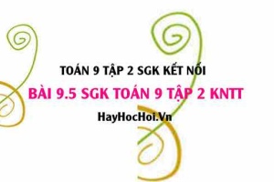 Bài 9.5 SGK Toán 9 tập 2 Kết nối tri thức